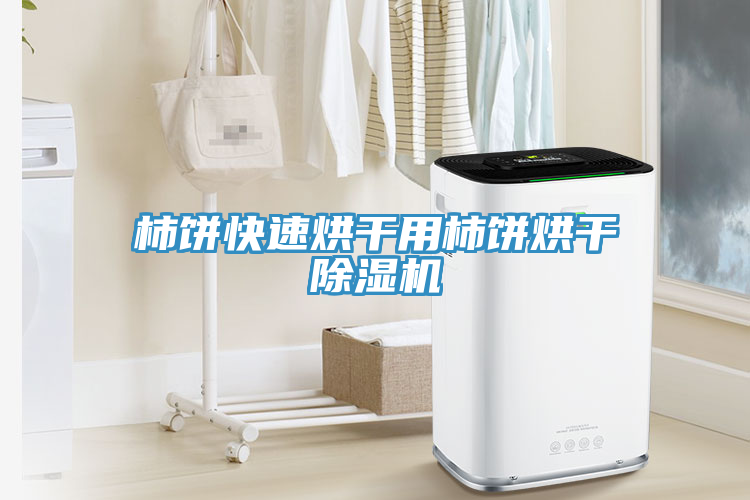 柿餅快速烘干用柿餅烘干除濕機