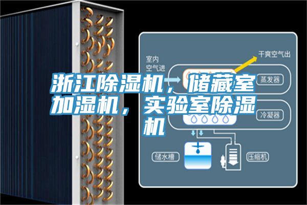 浙江除濕機，儲藏室加濕機，實驗室除濕機