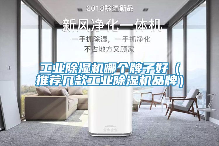 工業除濕機哪個牌子好（推薦幾款工業除濕機品牌）
