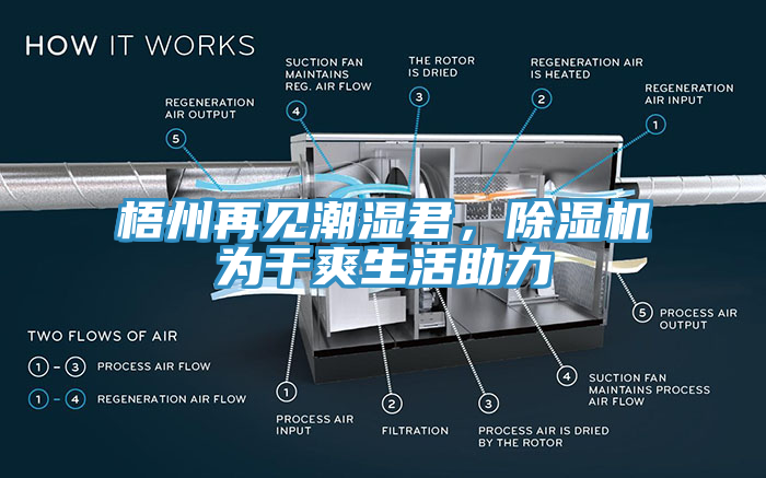 梧州再見潮濕君，除濕機為干爽生活助力