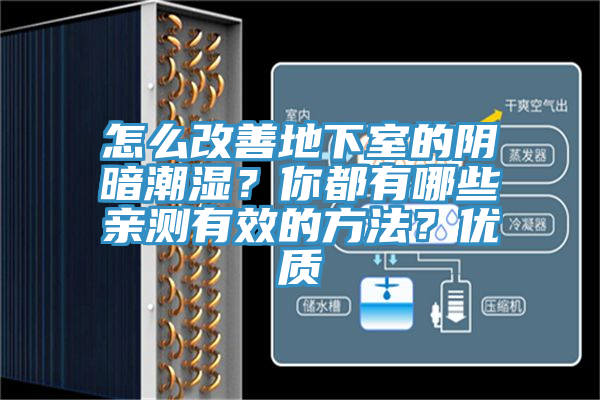 怎么改善地下室的陰暗潮濕？你都有哪些親測有效的方法？優質
