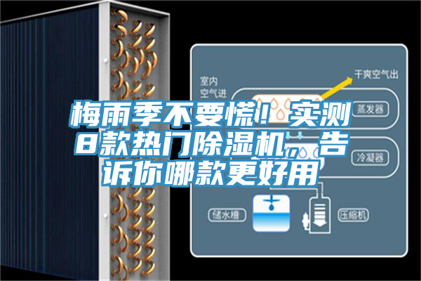 梅雨季不要慌！實測8款熱門除濕機，告訴你哪款更好用