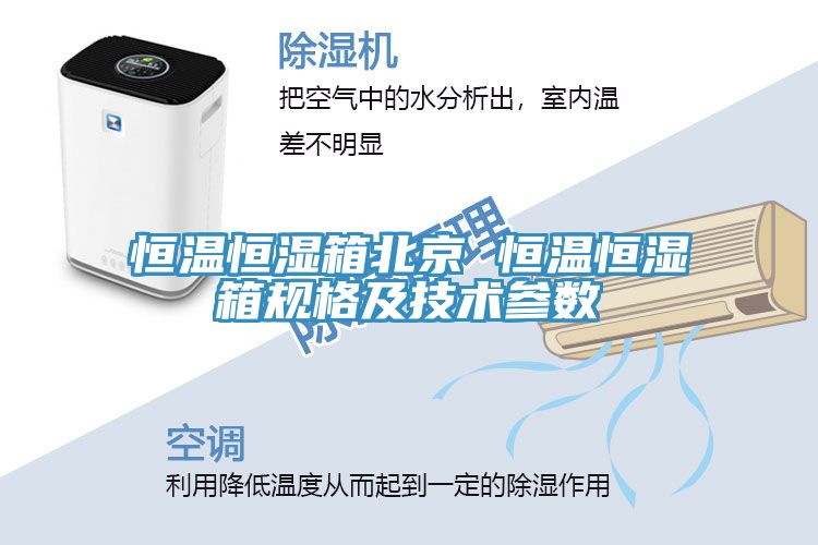 恒溫恒濕箱北京 恒溫恒濕箱規格及技術參數