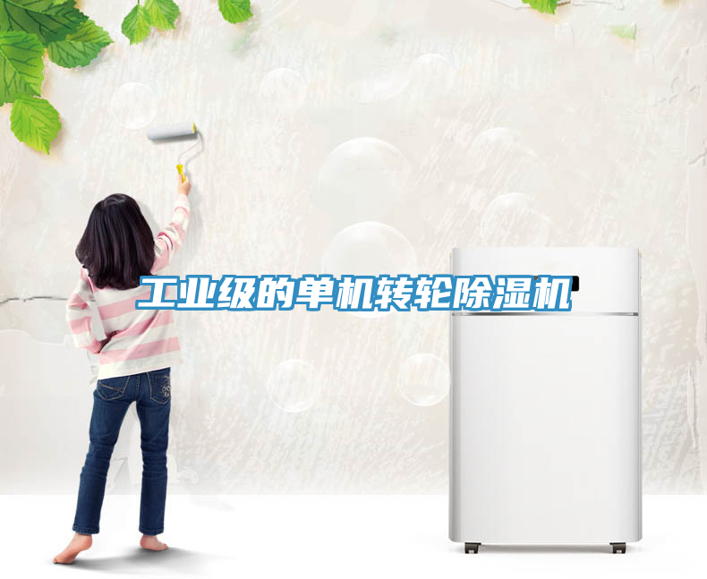 工業級的單機轉輪除濕機