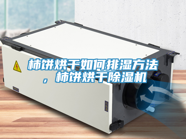 柿餅烘干如何排濕方法，柿餅烘干除濕機