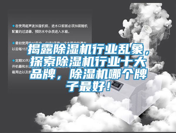 揭露除濕機行業亂象，探索除濕機行業十大品牌，除濕機哪個牌子最好！