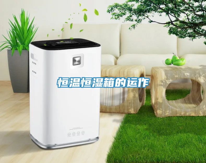 恒溫恒濕箱的運作