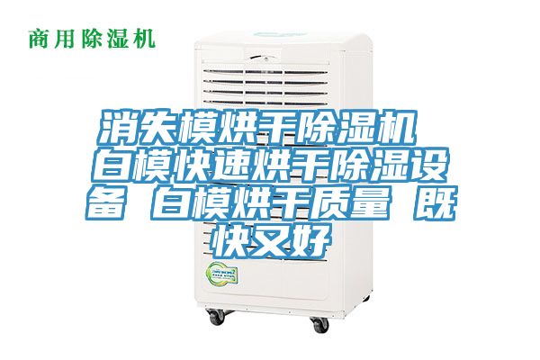 消失模烘干除濕機 白?？焖俸娓沙凉裨O備 白模烘干質量 既快又好