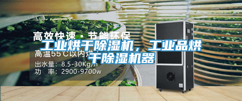 工業烘干除濕機，工業品烘干除濕機器