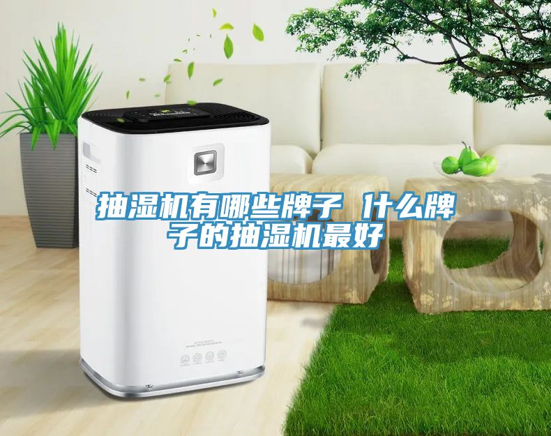 抽濕機有哪些牌子 什么牌子的抽濕機最好