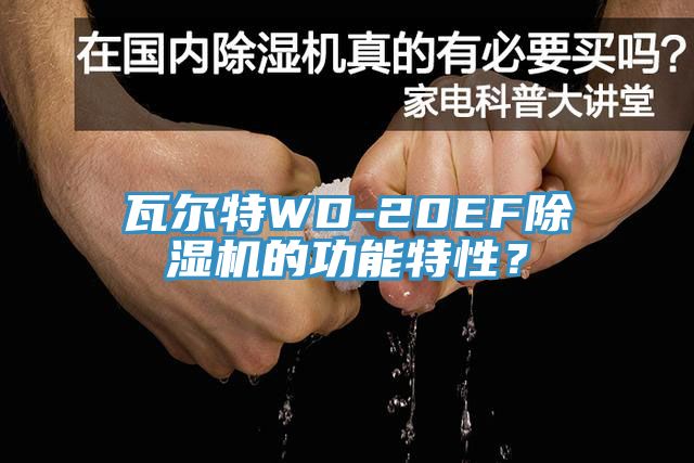 瓦爾特WD-20EF除濕機的功能特性？
