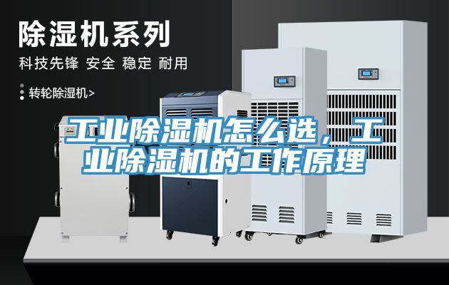 工業除濕機怎么選，工業除濕機的工作原理