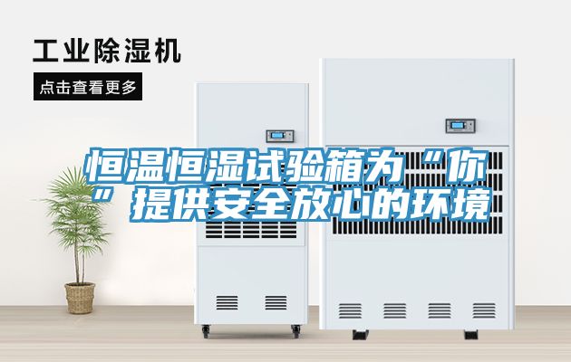 恒溫恒濕試驗箱為“你”提供安全放心的環境
