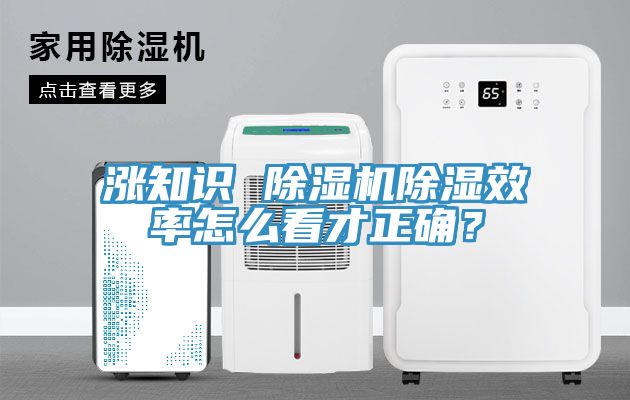 漲知識 除濕機除濕效率怎么看才正確？