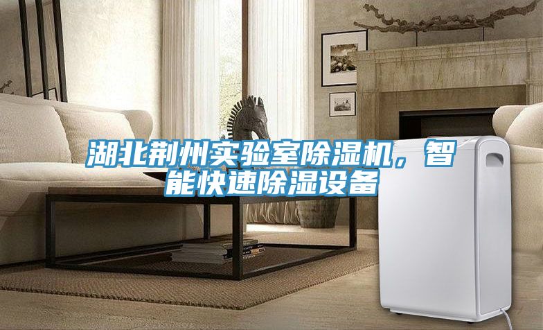 湖北荊州實驗室除濕機，智能快速除濕設備