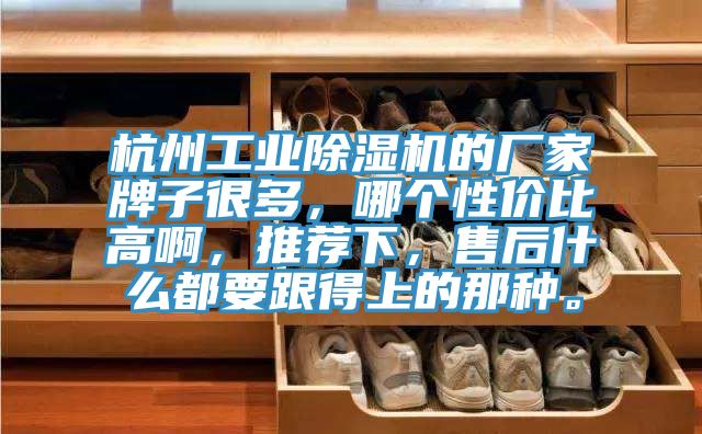 杭州工業除濕機的廠家牌子很多，哪個性價比高啊，推薦下，售后什么都要跟得上的那種。