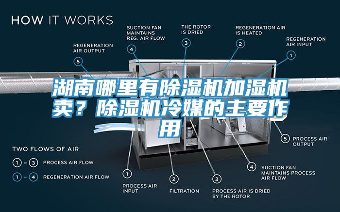 湖南哪里有除濕機加濕機賣？除濕機冷媒的主要作用