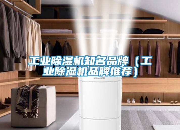 工業除濕機知名品牌（工業除濕機品牌推薦）