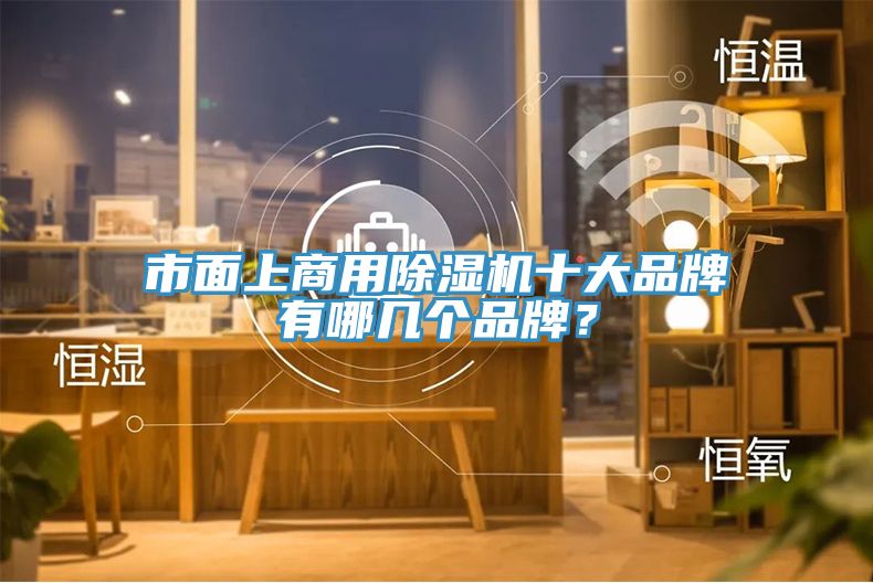 市面上商用除濕機十大品牌有哪幾個品牌？