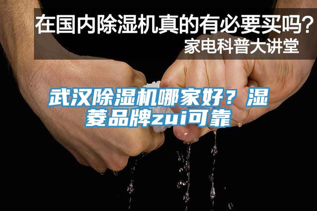 武漢除濕機哪家好？濕菱品牌zui可靠