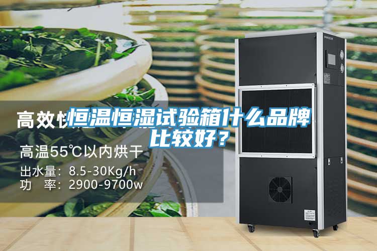 恒溫恒濕試驗箱什么品牌比較好？