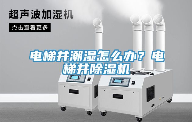 電梯井潮濕怎么辦？電梯井除濕機