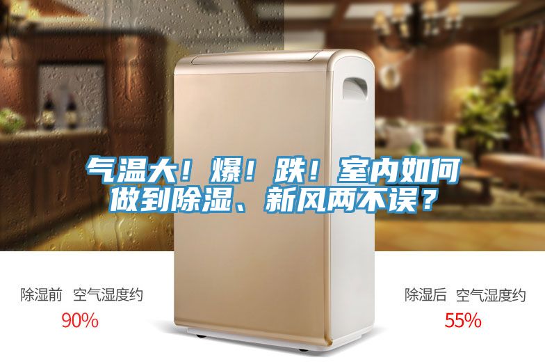 氣溫大！爆！跌！室內如何做到除濕、新風兩不誤？