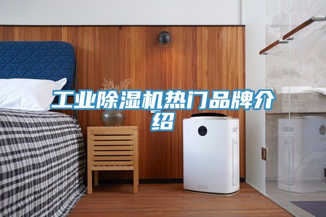 工業除濕機熱門品牌介紹