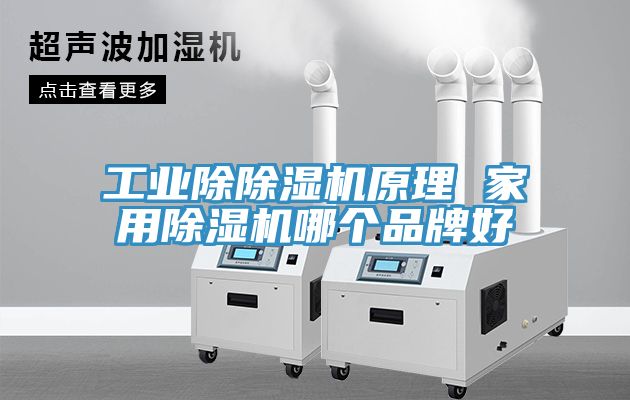 工業除除濕機原理 家用除濕機哪個品牌好