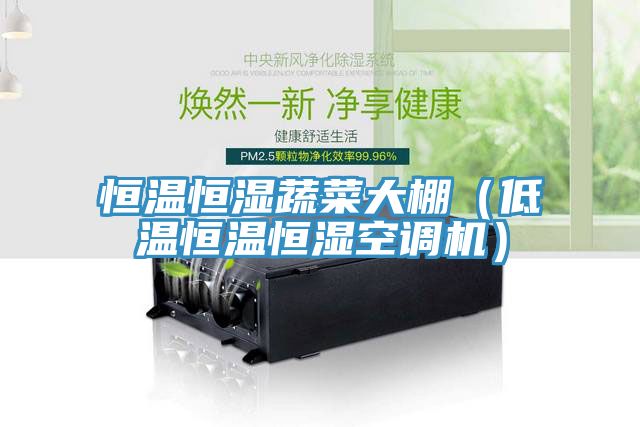 恒溫恒濕蔬菜大棚（低溫恒溫恒濕空調機）