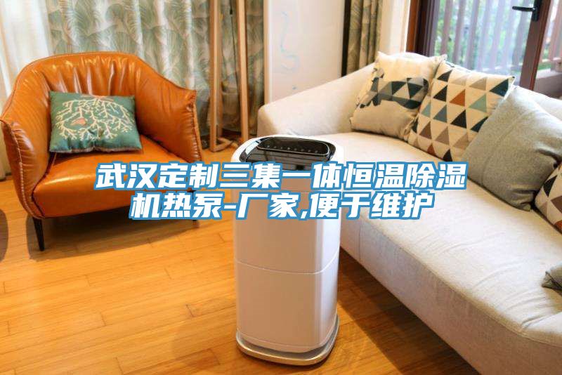 武漢定制三集一體恒溫除濕機熱泵-廠家,便于維護