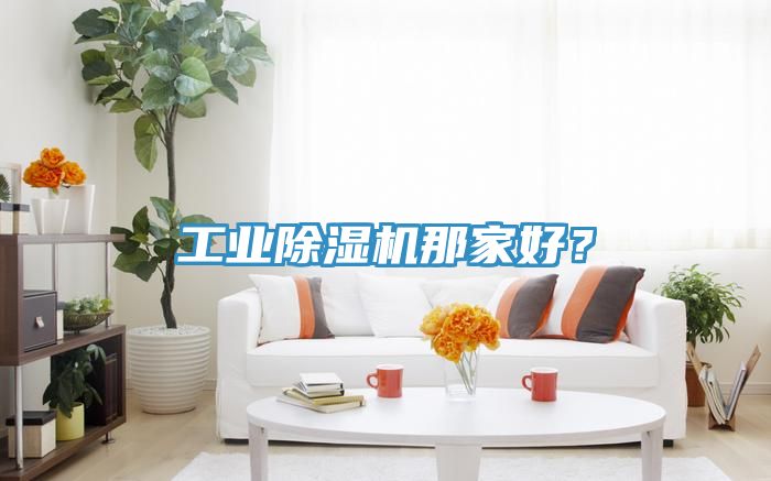 工業除濕機那家好？