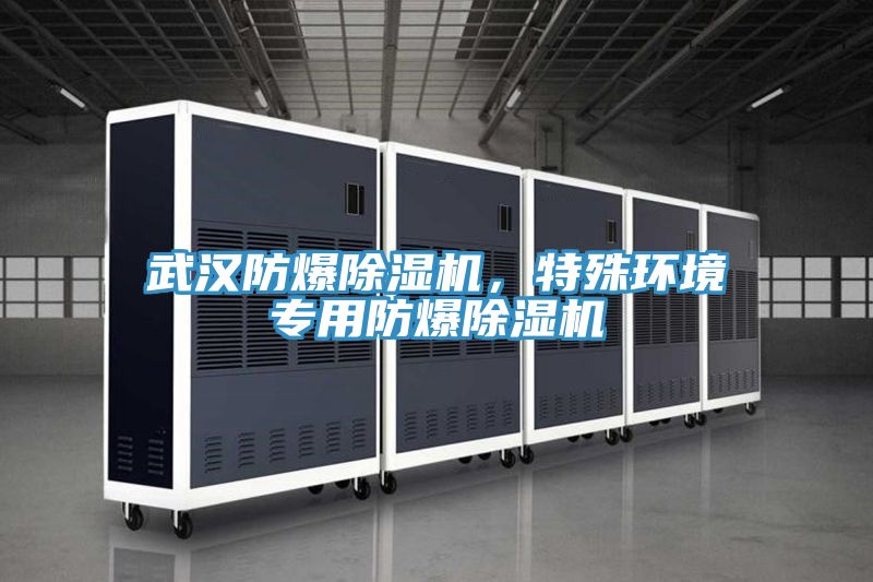 武漢防爆除濕機，特殊環境專用防爆除濕機