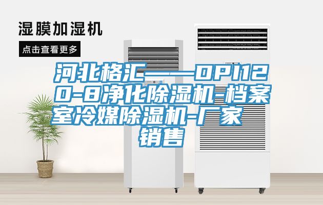 河北格匯——DPI120-8凈化除濕機-檔案室冷媒除濕機-廠家  銷售