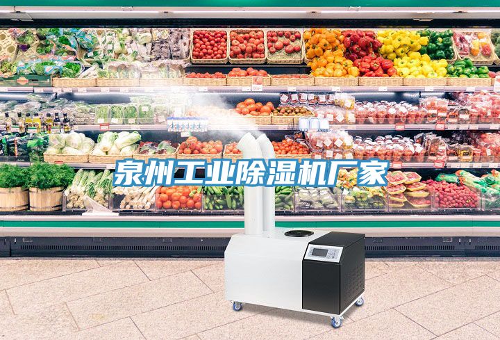 泉州工業除濕機廠家