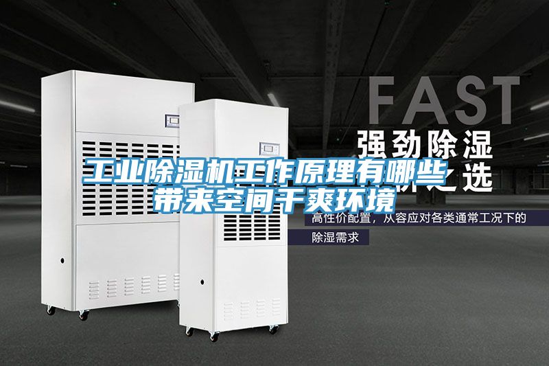 工業除濕機工作原理有哪些 帶來空間干爽環境