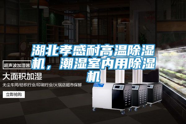 湖北孝感耐高溫除濕機，潮濕室內用除濕機