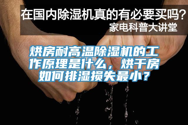 烘房耐高溫除濕機的工作原理是什么，烘干房如何排濕損失最?。?></div>
								<div   id=
