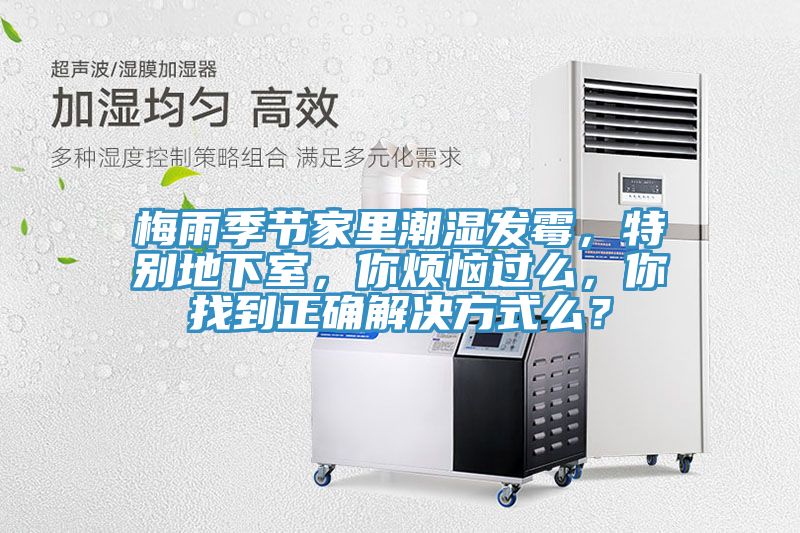梅雨季節家里潮濕發霉，特別地下室，你煩惱過么，你找到正確解決方式么？
