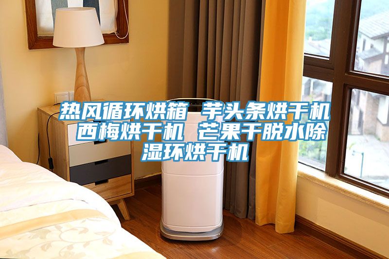 熱風循環烘箱 芋頭條烘干機 西梅烘干機 芒果干脫水除濕環烘干機