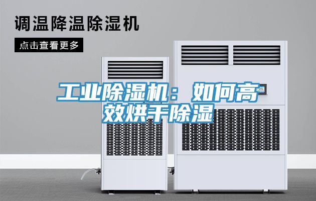 工業除濕機：如何高效烘干除濕
