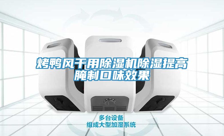 烤鴨風干用除濕機除濕提高腌制口味效果