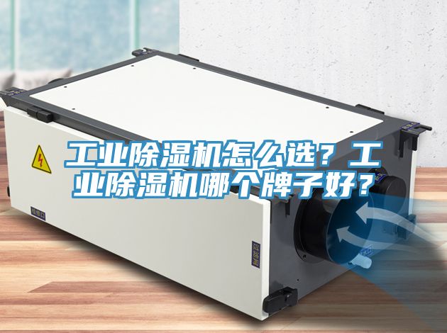工業除濕機怎么選？工業除濕機哪個牌子好？