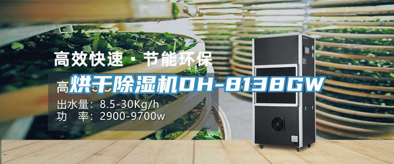 烘干除濕機DH-8138GW