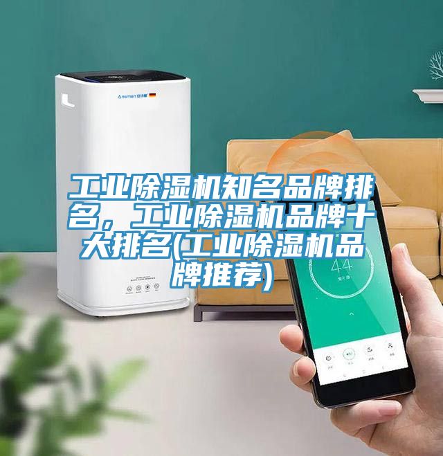 工業除濕機知名品牌排名，工業除濕機品牌十大排名(工業除濕機品牌推薦)