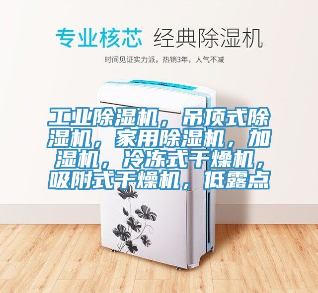 工業除濕機，吊頂式除濕機，家用除濕機，加濕機，冷凍式干燥機，吸附式干燥機，低露點