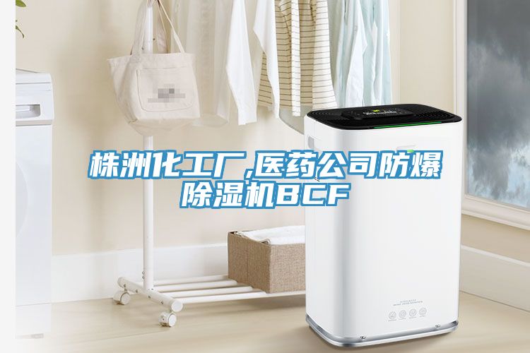 株洲化工廠,醫藥公司防爆除濕機BCF