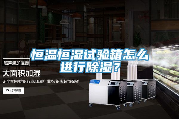 恒溫恒濕試驗箱怎么進行除濕？
