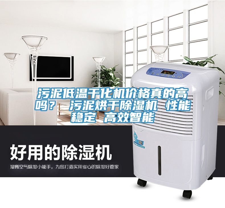 污泥低溫干化機價格真的高嗎？ 污泥烘干除濕機 性能穩定 高效智能