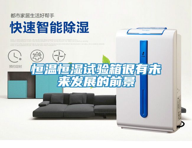 恒溫恒濕試驗箱很有未來發展的前景
